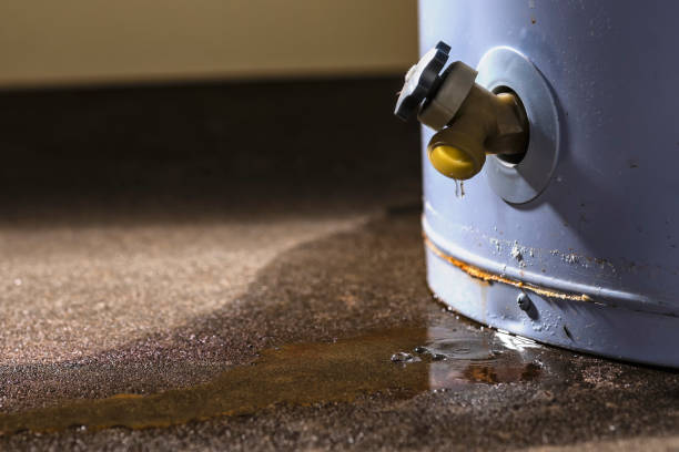 Best Basement water damage restoration  in Granger, IA