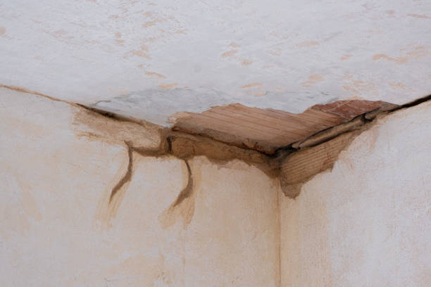 Best Water damage restoration near me  in Granger, IA