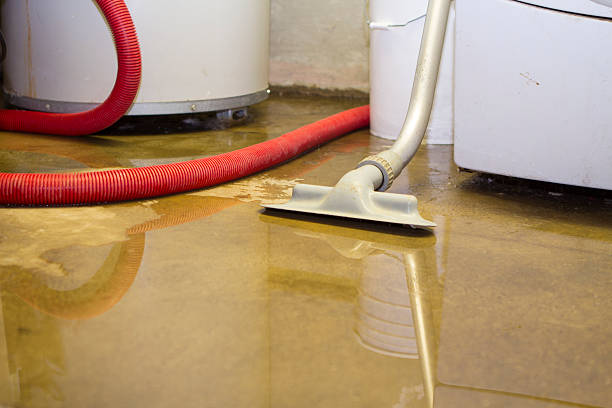 Best Carpet water damage restoration  in Granger, IA