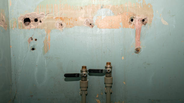 Best Water damage restoration experts  in Granger, IA