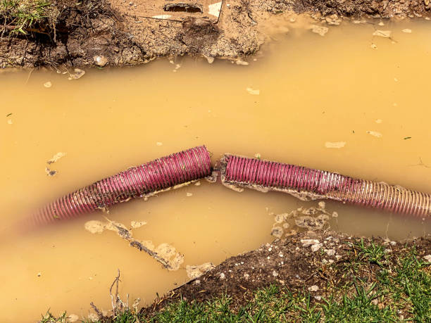 Best Flood damage cleanup  in Granger, IA