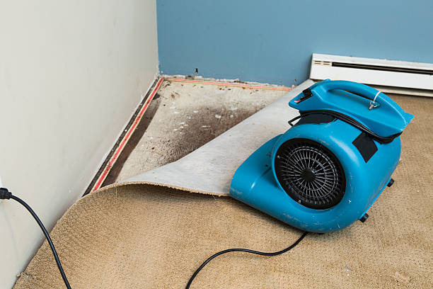Best Basement water damage restoration  in Granger, IA